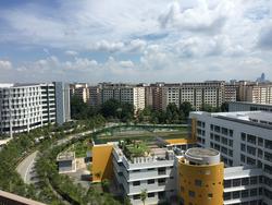 Primz Bizhub (D25), Factory #146208412